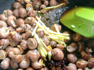 5、泰式酸辣小白螺,加入姜翻炒