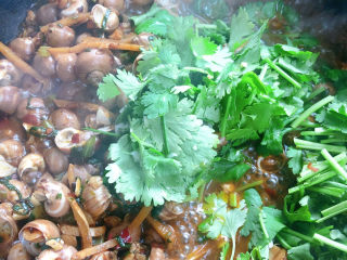 11、泰式酸辣小白螺,最后我们加入香菜