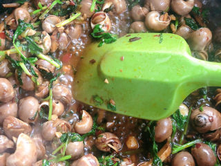 12、泰式酸辣小白螺,翻炒均匀