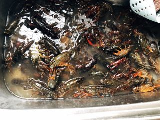 1、十三香小龙虾,小龙虾在水里清洗干净