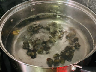 5、爆炒田螺肉,把田螺放进去煮；