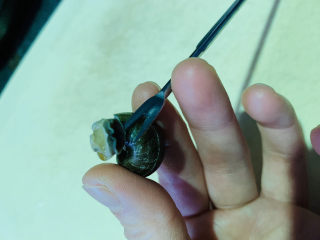 7、爆炒田螺肉,挑出螺肉；