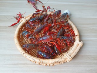 1、爆炒小龙虾,挑选活蹦乱跳的小龙虾。