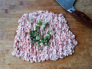 2、翡翠饺子——用一盘情意绵绵的饺子温暖整个冬天,在剁好的肉馅中加适量的葱花和姜末。（不喜欢姜的友友们可以不加）