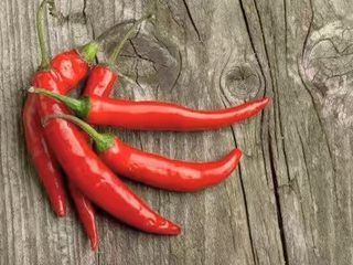 2、秘制大闸蟹蘸料,小米辣鲜辣椒切碎，不用剁成成蓉。辣椒多少看个人喜好。姜蓉和辣椒都分放至调味碟中