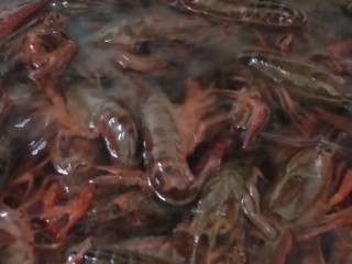 1、啤酒小龙虾,虾洗干净，我没有去虾线，去了虾线肉会松懈。冷水下锅抄水。