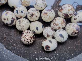 2、香卤鹌鹑蛋,鹌鹑蛋用清水冲洗再放入锅中加水煮