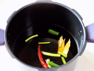 10、香卤鸭翅,放入葱段和姜片，还有小米辣。