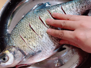 6、葱油鳊鱼,用手将盐和料酒按摩至吸收到鱼的每一寸地方。