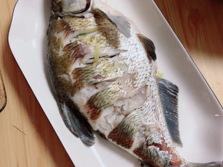 10、葱油鳊鱼,将鱼放入干净的鱼盘中。