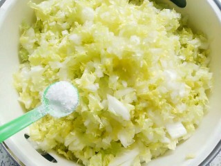 3、河粉包肉之卷河粉,加入一勺盐在切细的白菜里面搅拌一下掉水