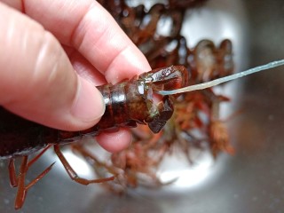 3、简单零失误的啤酒小龙虾,一手揪着虾头，一手拉虾尾中间位置，轻轻一拉虾线就出来了，是不是很方便呀！要想入味可以用剪刀在龙虾侧面剪一下。