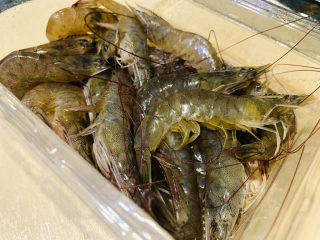 2、明虾鸡爪煲,鲜活的明虾半斤，待用；