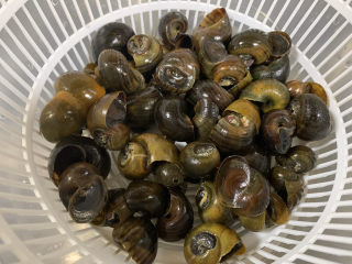 6、爆炒田螺肉,沥水备用