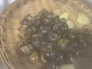 16、爆炒田螺肉,焯水后用清水再清洗一次，沥水备用