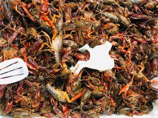 1、清蒸小龙虾,菜市场选取个头大的新鲜小龙虾(选用的是青头小龙虾,比红头小龙虾的肉会多一点哦)