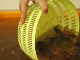 2、清蒸小龙虾,将小龙虾倒入一个大框內,准备一个菜篮子,水一直放着,用菜篮用捞动式翻洗至水不浑浊