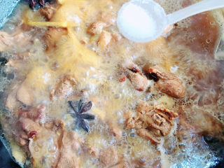 12、酱鸭腿,烧开锅后,中小会慢炖40分钟。加入盐,继续炖煮20分钟。