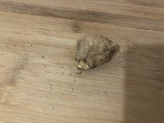 3、红烧鸡翅尖,姜去皮