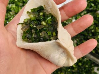 20、韭菜粉丝蒸饺,包起来。