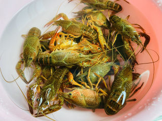 3、清蒸小龙虾,放入盆中加入一勺盐浸泡三十分钟，使小龙虾吐出泥沙