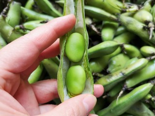 2、五香蚕豆,个人超喜欢剥蚕豆。