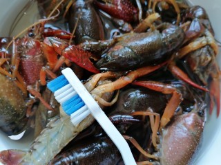 2、蒜香小龙虾,用牙刷将龙虾每个部位都清洗一遍