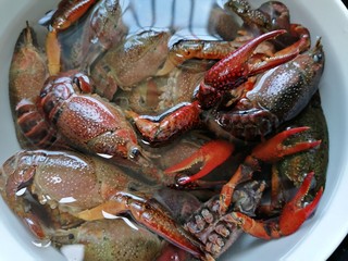 5、蒜香小龙虾,最后将龙虾全部处理干净须子也剪掉泡水清洗干净