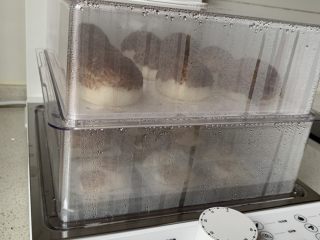 8、仿真蘑菇包,关火后焖5分钟后出锅。