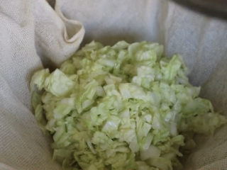 5、猪肉白菜水饺,差不多一个小时了，大白菜洗净出水很多了，把大包菜放入纱布中，可以方便挤掉多余的水分。