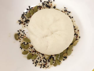 20、紫薯奶酪包,表皮喷水后站上杂粮