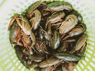 2、蒜蓉小龙虾,龙虾去尾筋备用