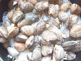 14、花蛤粉丝煲,在放上花蛤