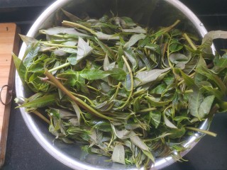 2、香椿鸡蛋馅饺子,香椿洗净