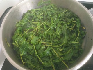 3、香椿鸡蛋馅饺子,焯水