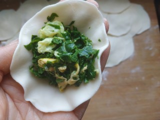 13、香椿鸡蛋馅饺子,包饺子