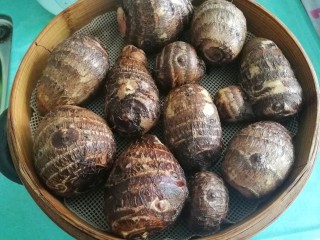 2、芋饺,放上蒸笼,大火蒸30分钟,用筷子可以轻松插穿就是熟了