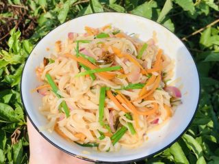 17、三丝炒河粉,看着还行。