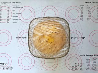 8、亚麻籽南瓜软欧包,8、发酵至2倍大。