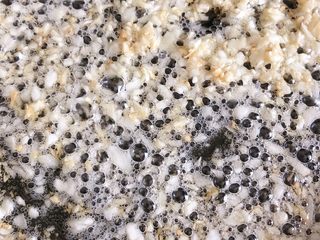 7、莴笋炒木耳,炒至蒜粒变黄 盛出备用