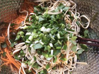 16、凉拌三丝,香菜，葱花