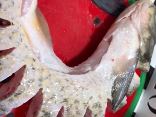 1、家常炖草鱼,草鱼清洗干净，背部改上如图的花刀