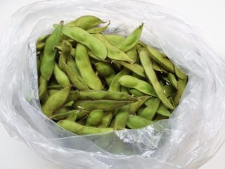 1、蒜泥毛豆节,取新鲜毛豆