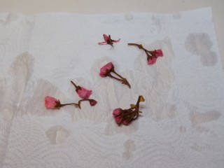 4、洋葱圈蔬菜蛋饼,用厨房用纸吸干水分备用