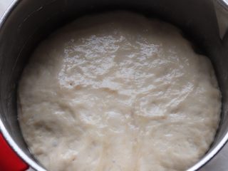 5、凉拌烤麸,发酵到两倍大