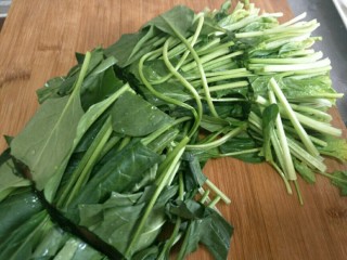 5、凉拌鸡肉菠菜,菠菜清洗干净，切成段～