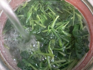 7、凉拌鸡肉菠菜,然后过凉水投凉～