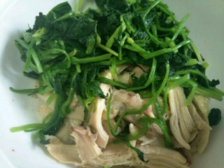 10、凉拌鸡肉菠菜,鸡肉放入碗中，加入菠菜～