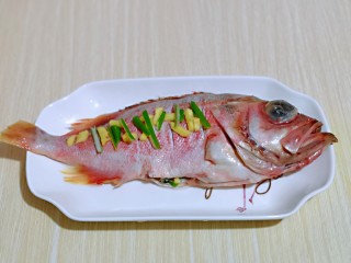3、#年年有鱼#红烧红石斑,葱姜去皮切碎，放入红石斑鱼身上，肚子也放进去一些葱姜。