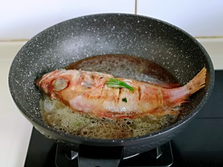 10、#年年有鱼#红烧红石斑,加入纯净水，没过鱼为佳。烧开转中小火炖20-25分钟左右。